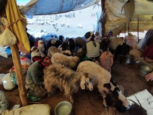 Berivanların at sırtında zorlu yolculuğu