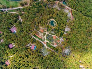 Ormanya’ya uluslararası ödül