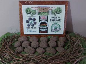 Enginar sadece sağlık değil aynı zamanda çevre dostu çıktı