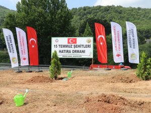 15 Temmuz Şehitleri Hatıra Ormanı’na yeni fidanlar