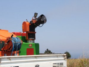 Sivrisinekler kabus olmasın: Saksı altlıkları, lastik içleri, kullanılmayan bidonlara dikkat