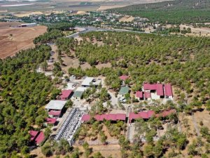 Can dostlar yeni yuvalarına kavuşuyor