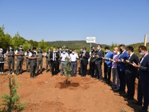 Muğla’da 15 Temmuz Demokrasi Şehitleri anısına fidan dikildi