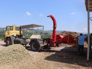 Budanan ağaçların atıkları toprağa kazandırılıyor