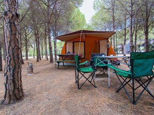 Didim Belediyesi, orman kampının ihalesini yeniden aldı