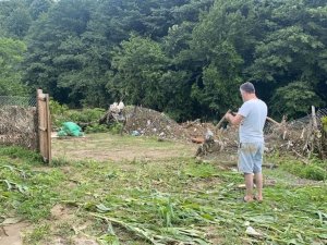 Su taşkınında çok sayıda hayvan telef oldu