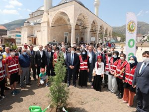Amasyalılardan 15 Temmuz şehitleri anısına 251 fidan