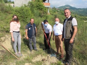 Türkeli’de 15 Temmuz şehitleri anısına fidan dikildi