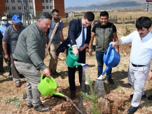 Tufanbeyli’de 15 Temmuz şehitleri anısına fidanlar dikildi
