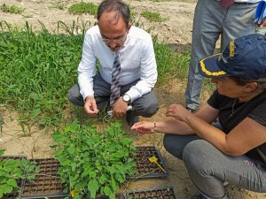 Bilecik’te TUAM tarafından 15 tarımsal proje yürütülüyor