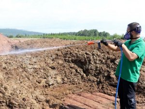 Kurban pazar yerleri ilaçlanıyor