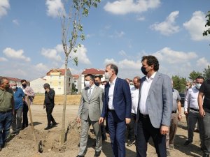 251 şehit anısına 251 ağaç toprakla buluştu