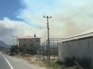 Mersin’de orman yangını