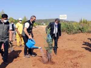 15 Temmuz kahramanı Halisdemir ormanına fidan dikimi