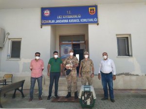 Jandarmadan Leylek yavrularına şefkat eli