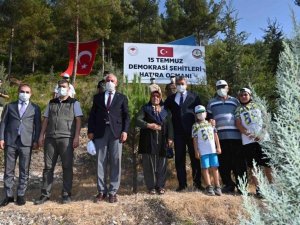 Osmaniye’de 15 Temmuz şehitleri anısına fidan dikildi