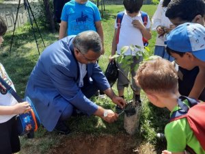 Tatvan’da 15 Temmuz şehitleri anısına 251 fidan dikildi