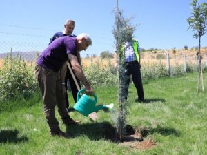15 Temmuz şehitleri anısına Battalgazi’de 251 fidan dikildi