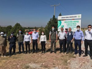 Çavdarhisar’da 15 Temmuz şehitleri anısına fidan dikildi