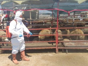 Belediye, bayram öncesi denetimlerini artırdı