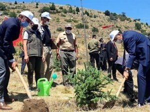 Kütahya’da fidan dikimi