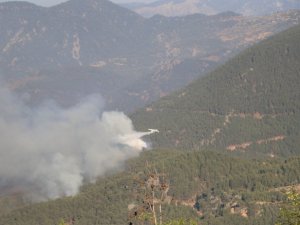 Mersin’deki orman yangını devam ediyor