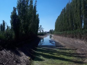 Porsuk çayında tedirgin eden görüntüler