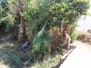 Tarımsal sulama kanallarında temizlik