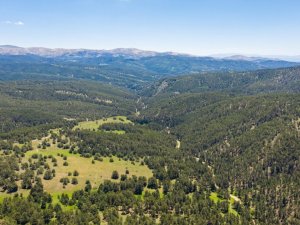Çat Ormanları sıcak havalarda nefes aldırıyor