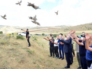 Vali Akın, doğaya kınalı keklik saldı
