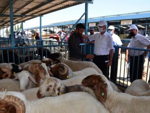 Kurban Bayramı öncesi tüm tedbirler gözden geçirildi
