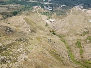 Avşa adasına 60 bin fidan