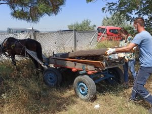 Şiddet gören köpeği teslim almaya gittiler, yolda eziyet edilen yaralı atı da kurtardılar