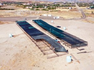 Elazığ’da  kurban satış ve kesim alanı hazırlandı