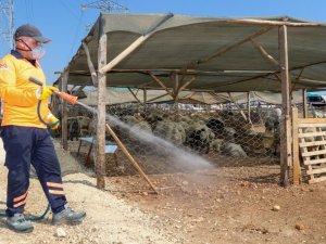 Büyükşehir Belediyesi, bayram öncesinde karasinek ilaçlamasını yoğunlaştırdı