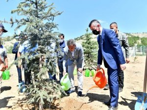 251 şehit anısına 251 ağaç toprakla buluştu