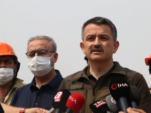 Bakan Pakdemirli: "Mersin ve Hatay’daki yangınlar kontrol altına alındı"