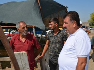 TUDKİYEB Başkanı Çelik: “Küçükbaş kurbanın karkas ağırlığı en az 22 kg olmalı”