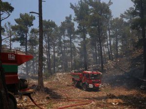 Mersin’deki orman yangınında soğutma çalışmaları devam ediyor