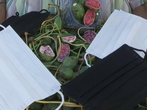 Eskiden çobanlar kullanıyordu, şimdi maske üretiminde kullanılıyor