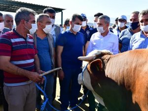 Yeşilyurt’ta bayram hazırlıkları tamamlandı, 44 noktada kurban satış ve kesim işlemleri yapılacak