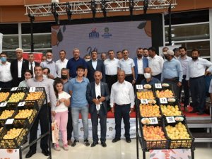 ‘En iyi yaş kayısı’ yarışması yapıldı