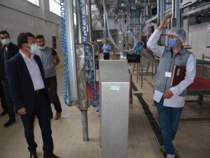 AK Parti heyeti, Van Et ve Süt Kurumunu ziyaret etti