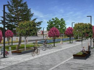 Kent estetiğine uygun sağlıklı ağaçlar dikilecek