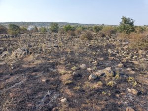 Simav’da makilik alanda çıkan yangın söndürüldü