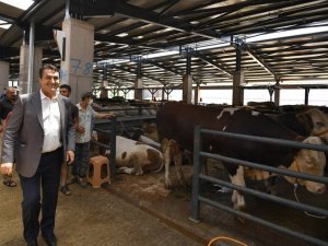 Osmangazi bayrama hazır