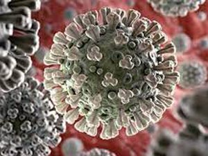 Son 24 saatte korona virüsten 228 kişi hayatını kaybetti