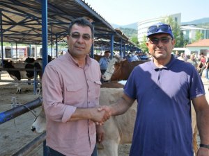 Simav’da üretici umduğunu bulamadı