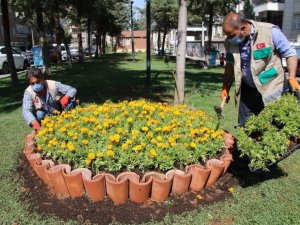 Haliliye parklarında peyzaj çalışması