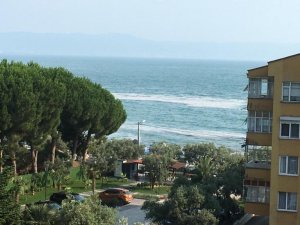 Gemlik sahillerinde yine müsilaj kabusu